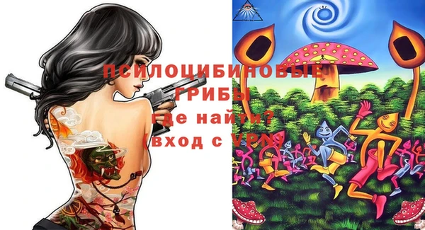 шишки Верхнеуральск