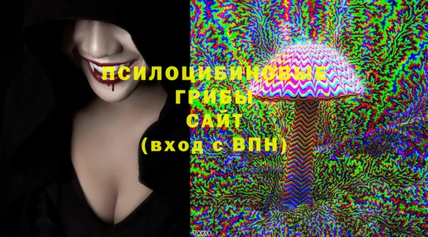 шишки Верхнеуральск
