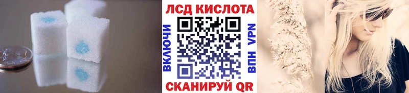 omg ТОР как найти закладки Гудермес ЛСД экстази ecstasy