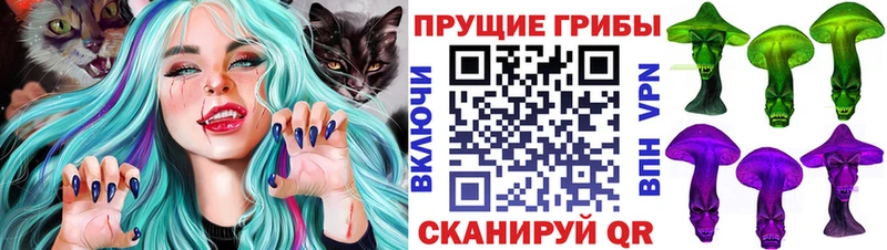 Галлюциногенные грибы ЛСД  Гудермес 